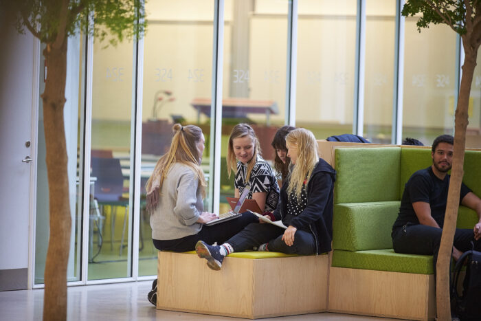 Gruppe_sofa_piger_computer