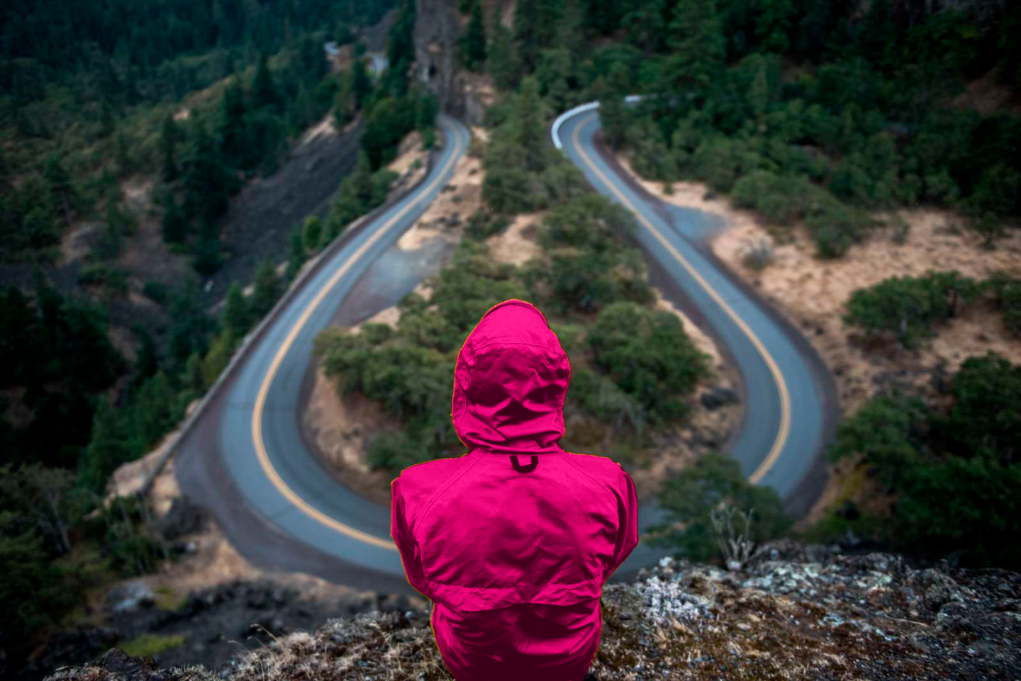 Mand i pink regnjakke står med ryggen til foran en skov med to store veje foran ham. Psykologhjælp til studerende