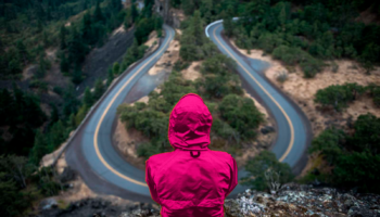 Mand i pink regnjakke står med ryggen til foran en skov med to store veje foran ham. Psykologhjælp til studerende