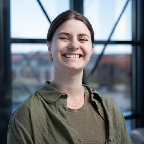 Portræt af pige med hestehale og brunt hår