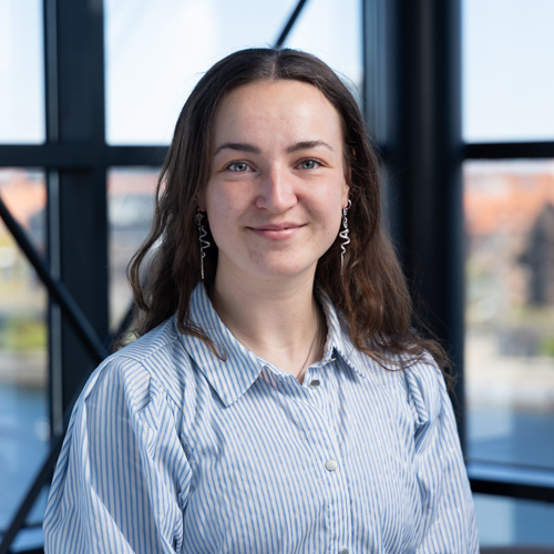 Portræt af pige med mørkebrunt hår